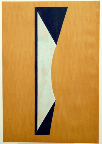 Tad Wiley exhibit at The Montclair Art Museum, 1996